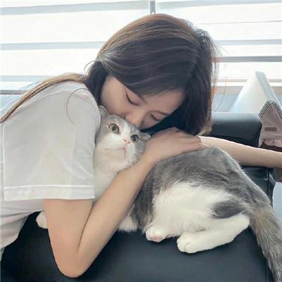 折翼蝴蝶