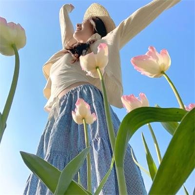 海象海象不要哭