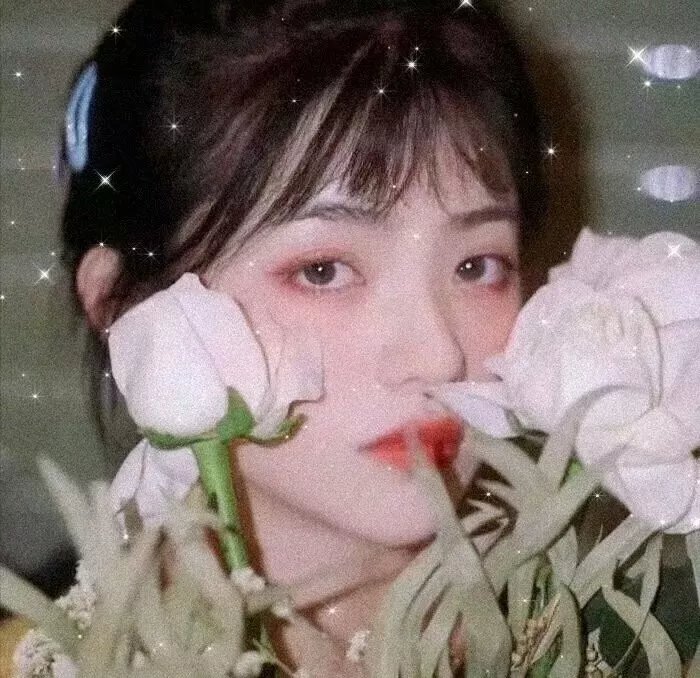 女孩之夜